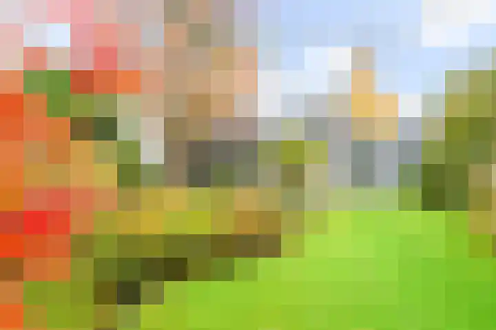 De Hulle 1 Deventer thumbnail 29