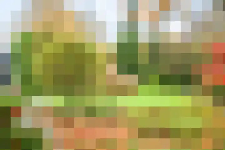De Hulle 1 Deventer thumbnail 30