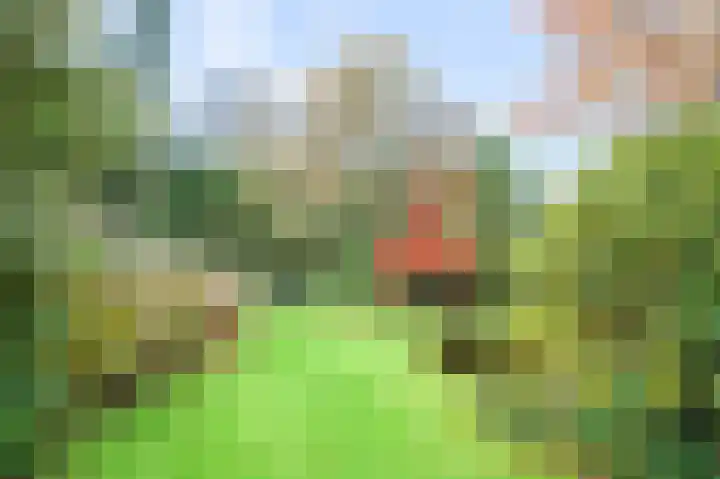 De Hulle 1 Deventer thumbnail 35