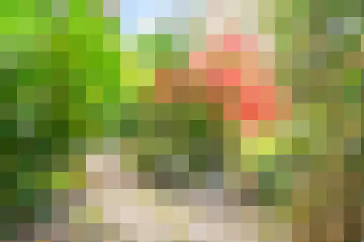 De Hulle 1 Deventer thumbnail 36