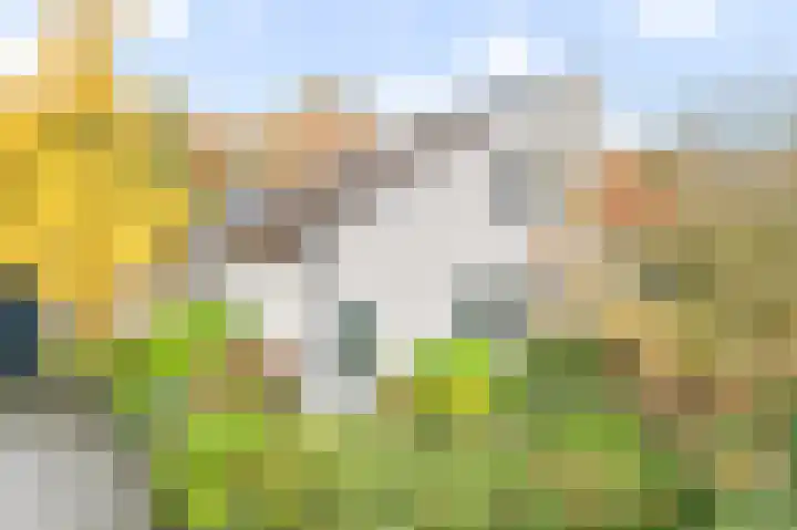 De Hulle 1 Deventer thumbnail 37