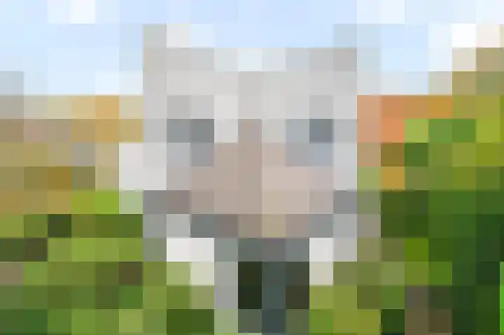 De Hulle 1 Deventer thumbnail 38