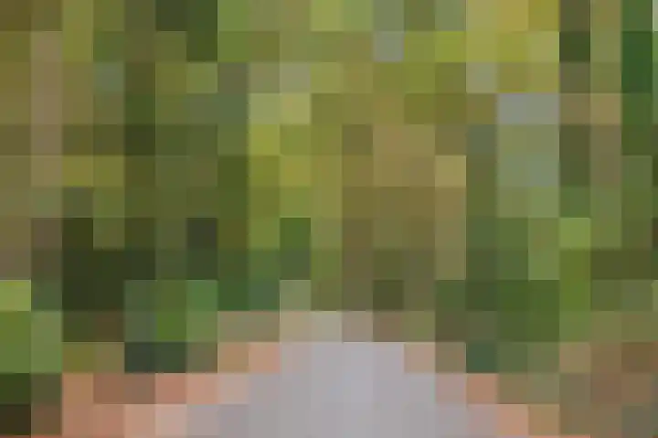 De Hulle 1 Deventer thumbnail 41