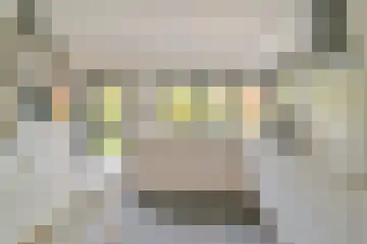 De Hulle 1 Deventer thumbnail 7