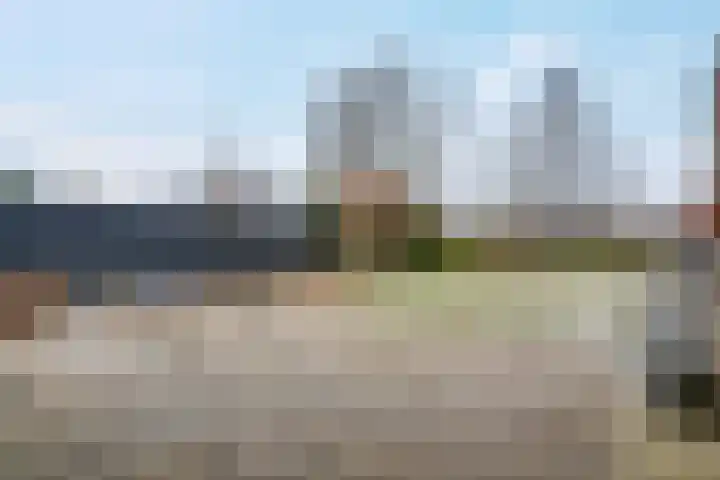 de Hulst 27 Roden thumbnail 13