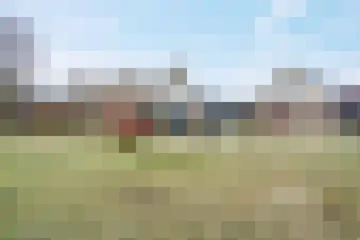 de Hulst 27 Roden thumbnail 17