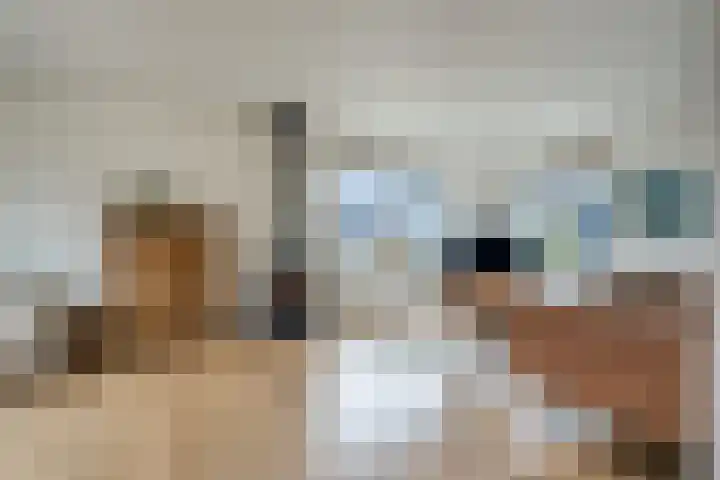 de Hulst 27 Roden thumbnail 24