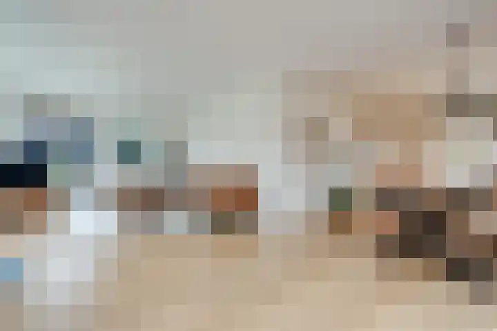 de Hulst 27 Roden thumbnail 25