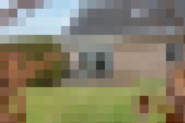 de Hulst 27 Roden thumbnail 31