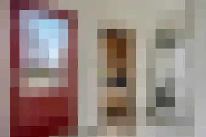 de Hulst 27 Roden thumbnail 37