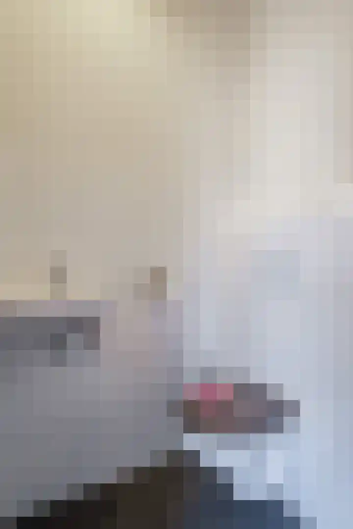 de Hulst 27 Roden thumbnail 42