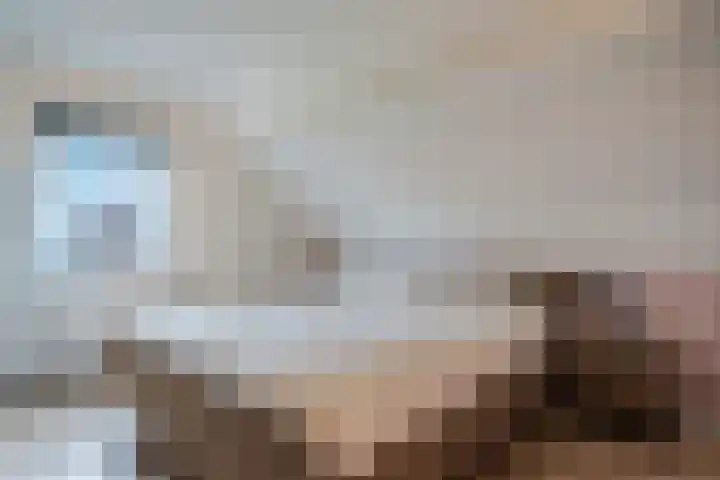 de Hulst 27 Roden thumbnail 46