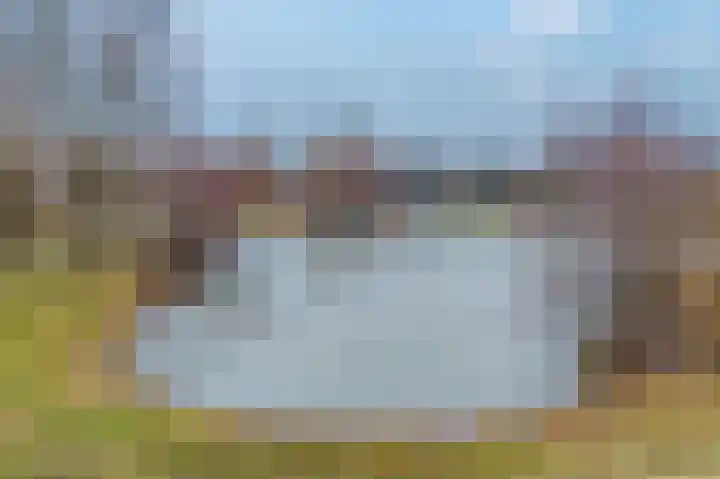 de Hulst 27 Roden thumbnail 5