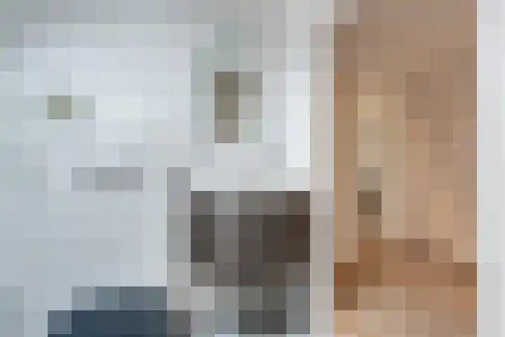 de Hulst 27 Roden thumbnail 55