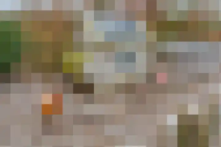 de Hulst 27 Roden thumbnail 59