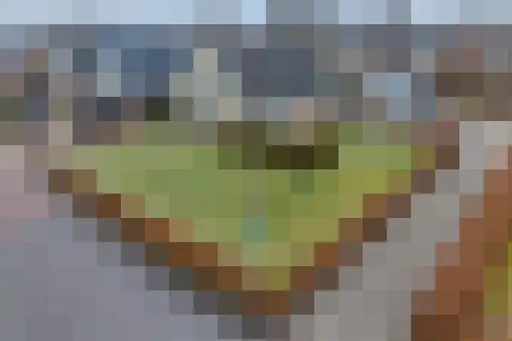 de Hulst 27 Roden thumbnail 61