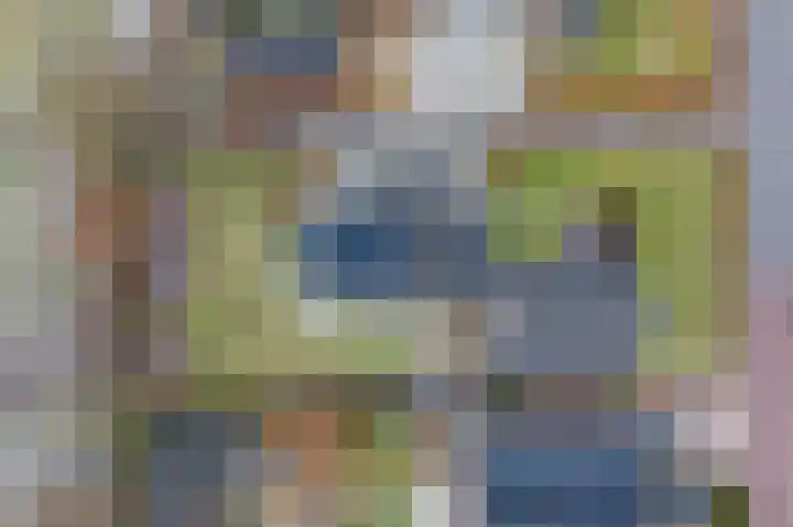de Hulst 27 Roden thumbnail 66