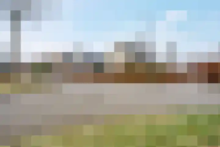 de Hulst 27 Roden thumbnail 7