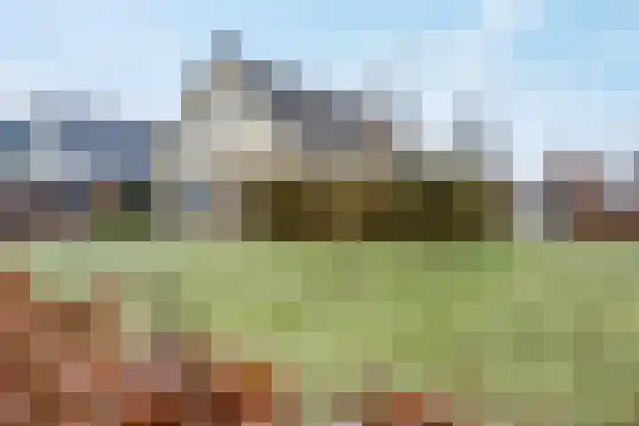 de Hulst 27 Roden thumbnail 8