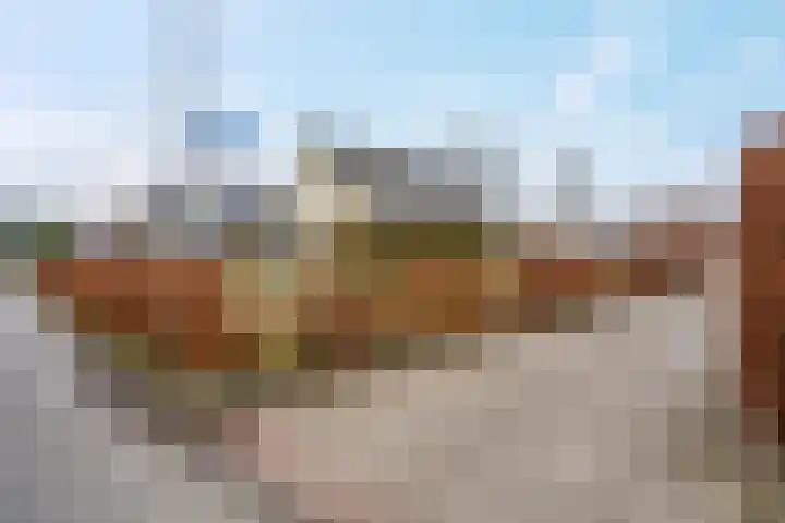 de Hulst 27 Roden thumbnail 9