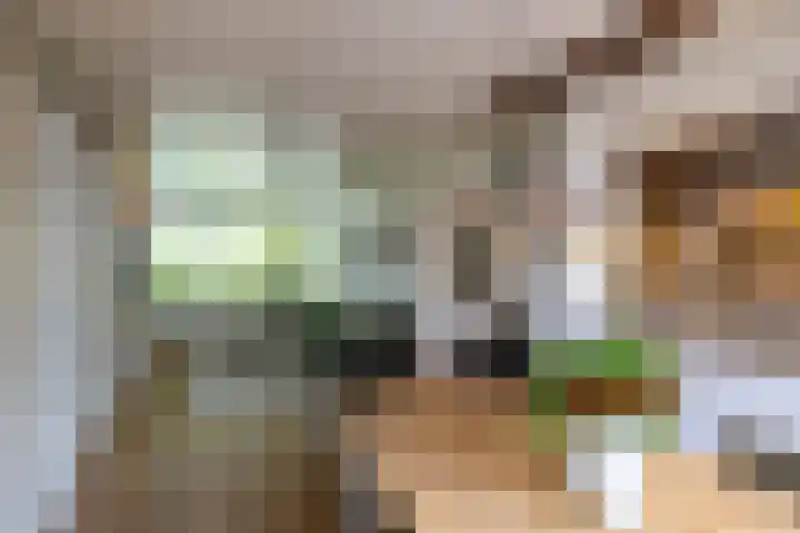 De Hulstlaan 5 Leek thumbnail 12