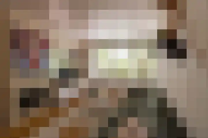 De Hulstlaan 5 Leek thumbnail 14