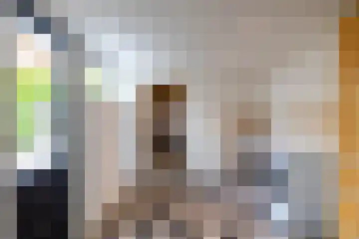 De Hulstlaan 5 Leek thumbnail 17