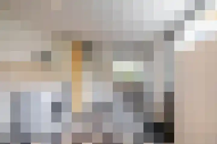 De Hulstlaan 5 Leek thumbnail 18