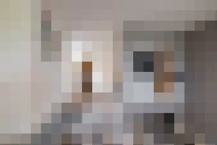 De Hulstlaan 5 Leek thumbnail 19