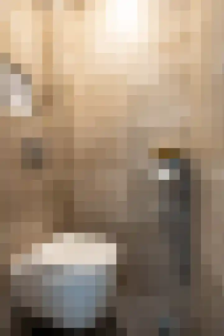 De Hulstlaan 5 Leek thumbnail 21