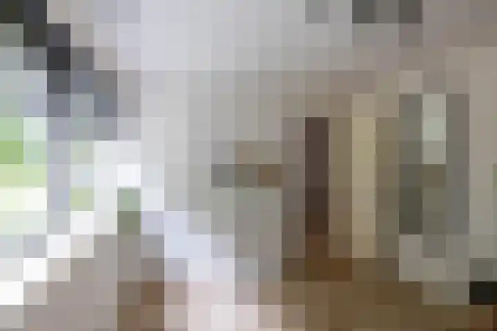 De Hulstlaan 5 Leek thumbnail 25
