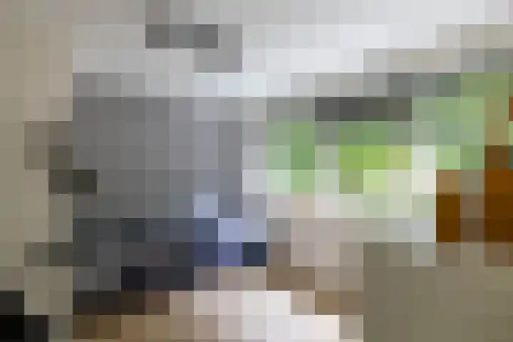 De Hulstlaan 5 Leek thumbnail 26