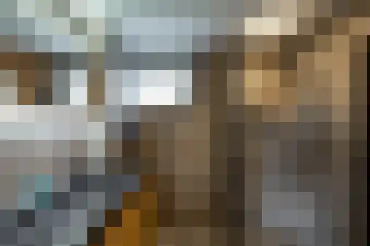 De Hulstlaan 5 Leek thumbnail 28