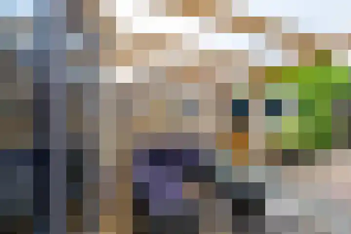 De Hulstlaan 5 Leek thumbnail 38