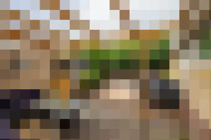 De Hulstlaan 5 Leek thumbnail 39