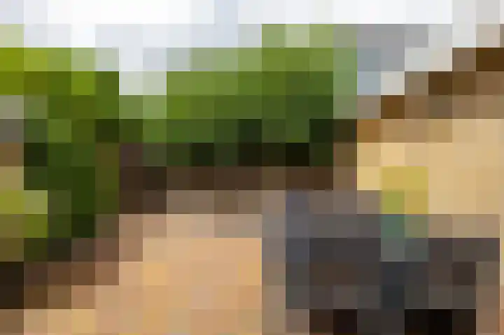 De Hulstlaan 5 Leek thumbnail 42