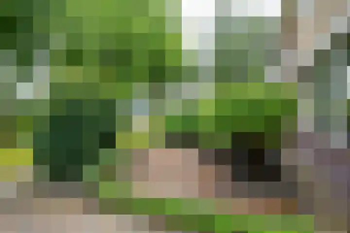 De Hulstlaan 5 Leek thumbnail 44