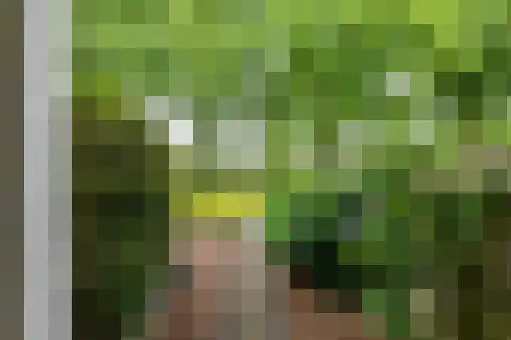 De Hulstlaan 5 Leek thumbnail 45