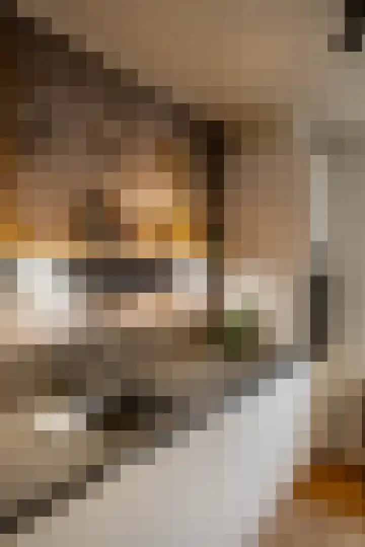 De Hulstlaan 5 Leek thumbnail 8