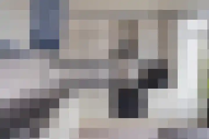 De Huterstraat 21 Oudheusden thumbnail 11