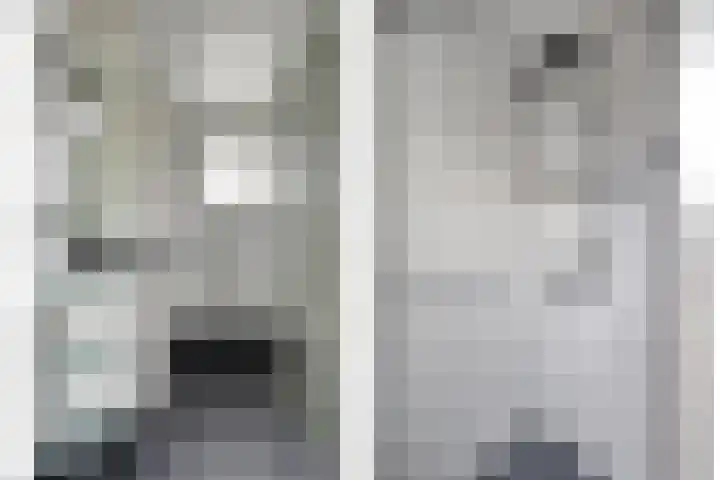 De Huterstraat 21 Oudheusden thumbnail 16