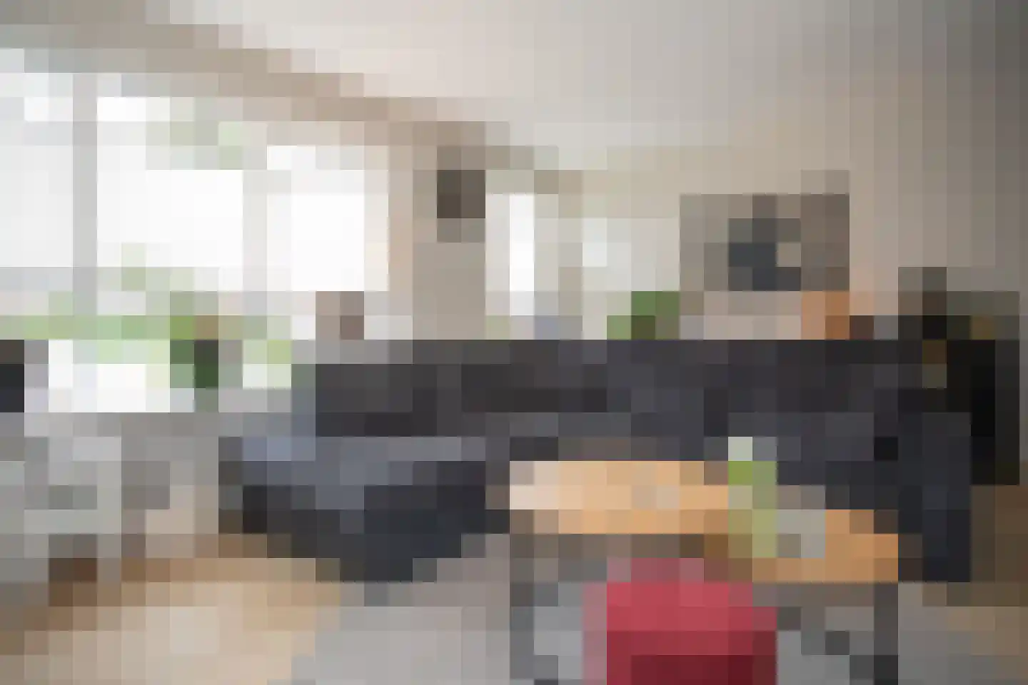 De Ibis 12 a Almelo thumbnail 12