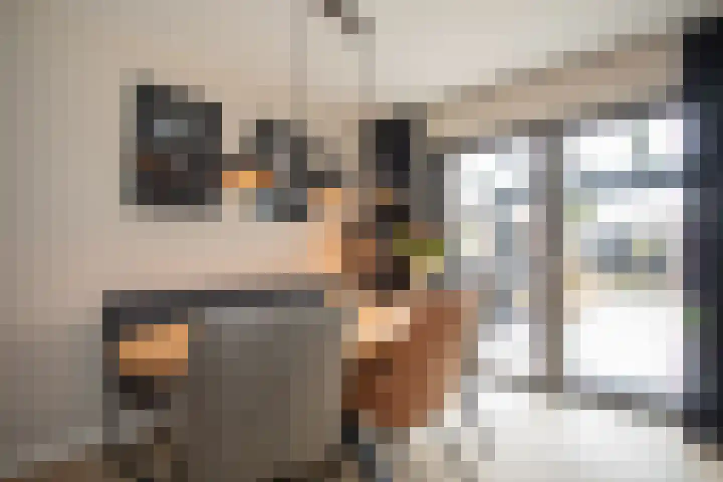 De Ibis 12 a Almelo thumbnail 16