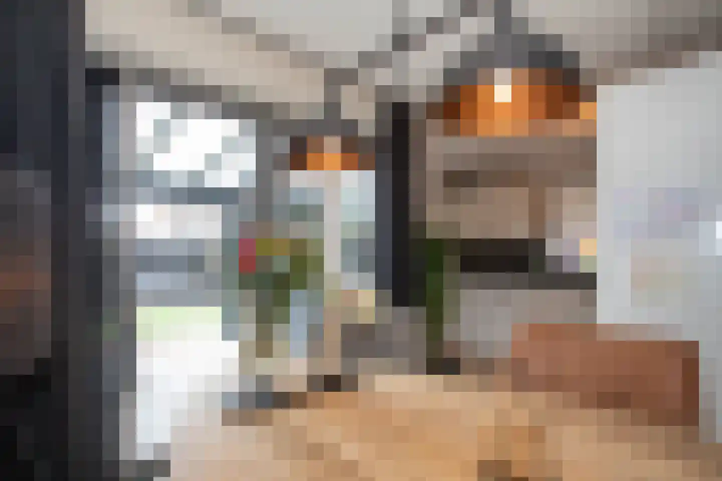 De Ibis 12 a Almelo thumbnail 18