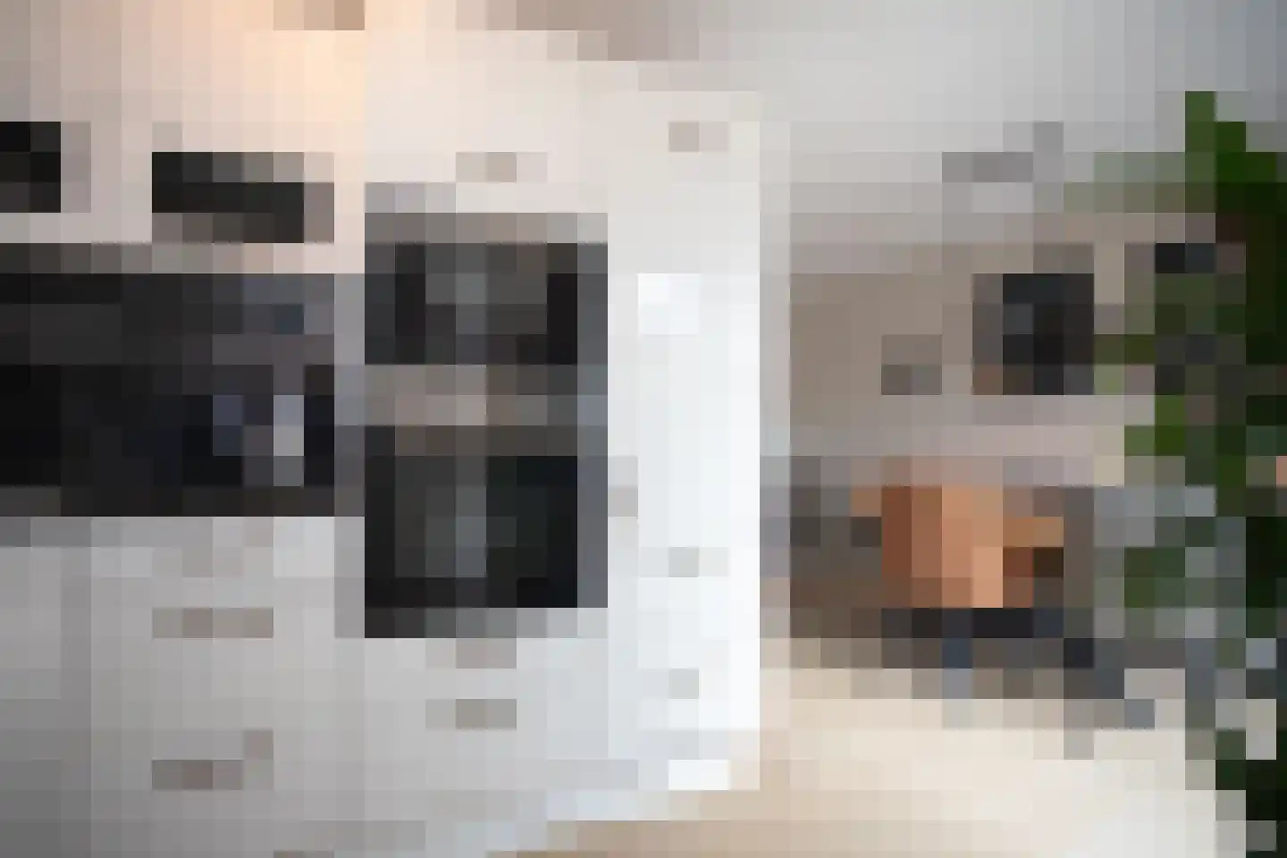 De Ibis 12 a Almelo thumbnail 22