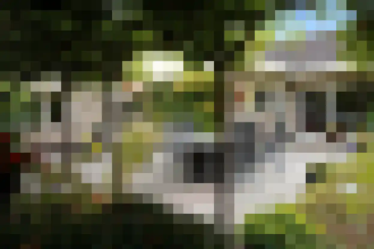 De Ibis 12 a Almelo thumbnail 23