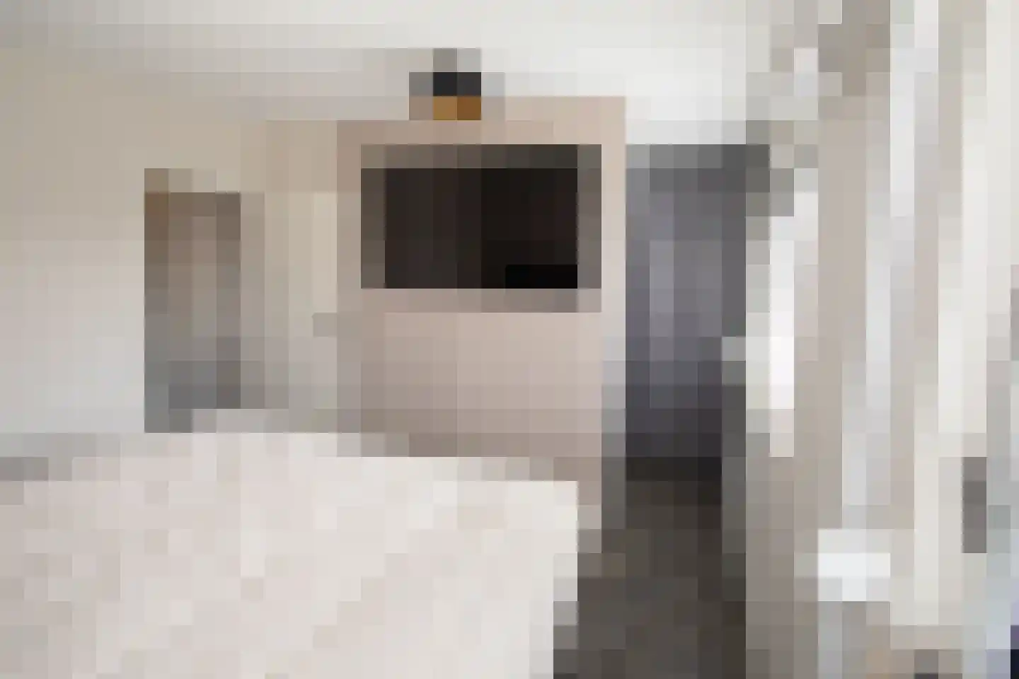 De Ibis 12 a Almelo thumbnail 26