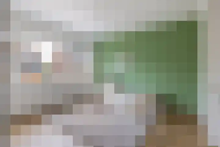 De Ibis 12 a Almelo thumbnail 31