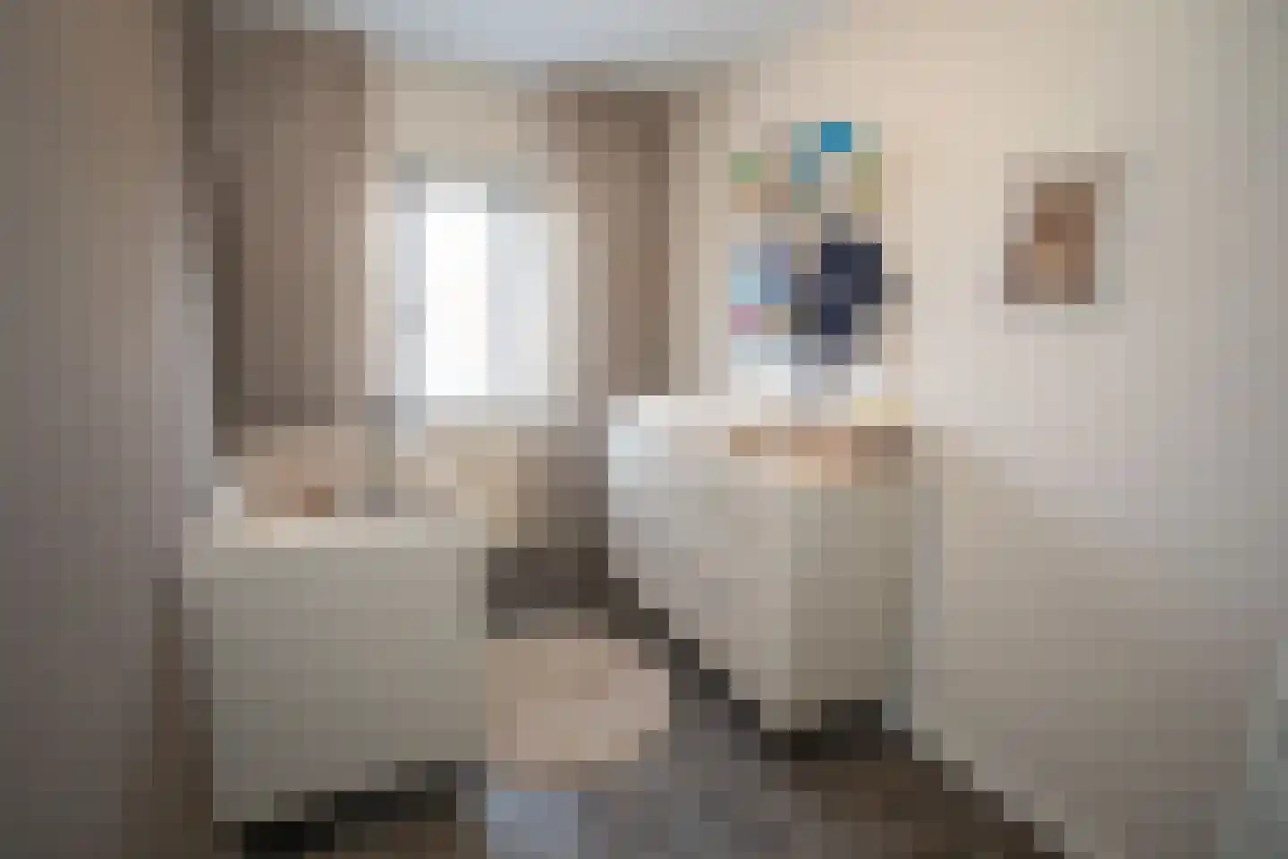 De Ibis 12 a Almelo thumbnail 35