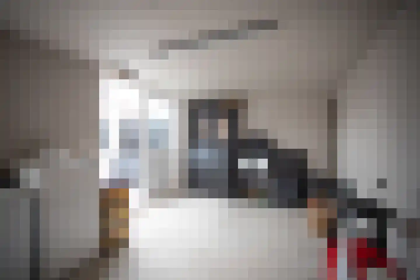 De Ibis 12 a Almelo thumbnail 45